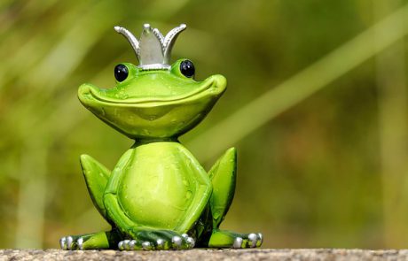 הנסיכה והצפרדע – הצגות ילדים מומלצות