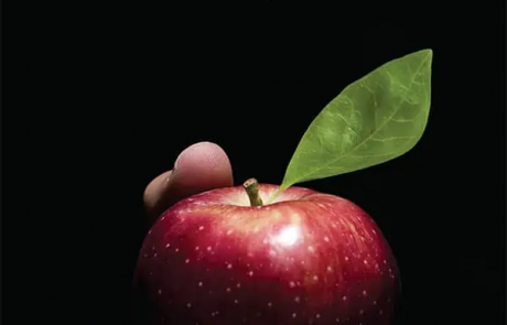 “ניחוח תפוח”: דרמות מעולם המשפט עם סיפורים אישיים ומפתיעים| ספר חדש יצא לאור